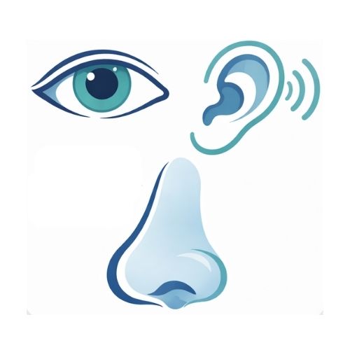 Senses and Perception