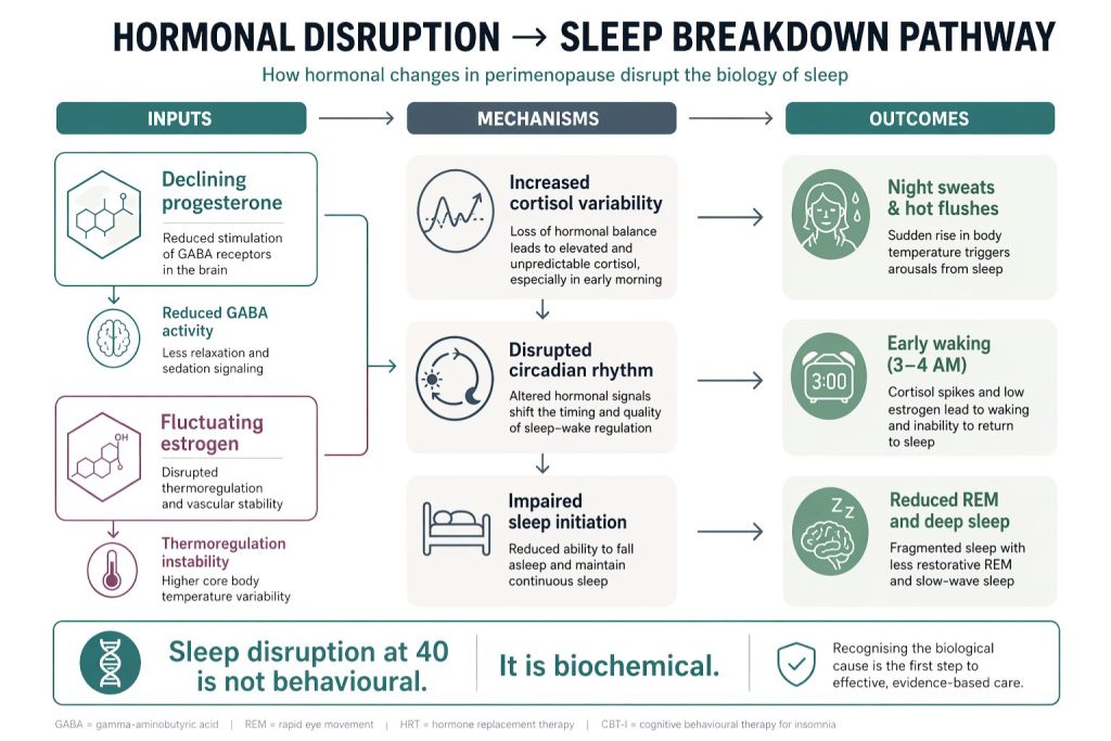 Hormonal Disruption → Sleep Breakdown Pathway