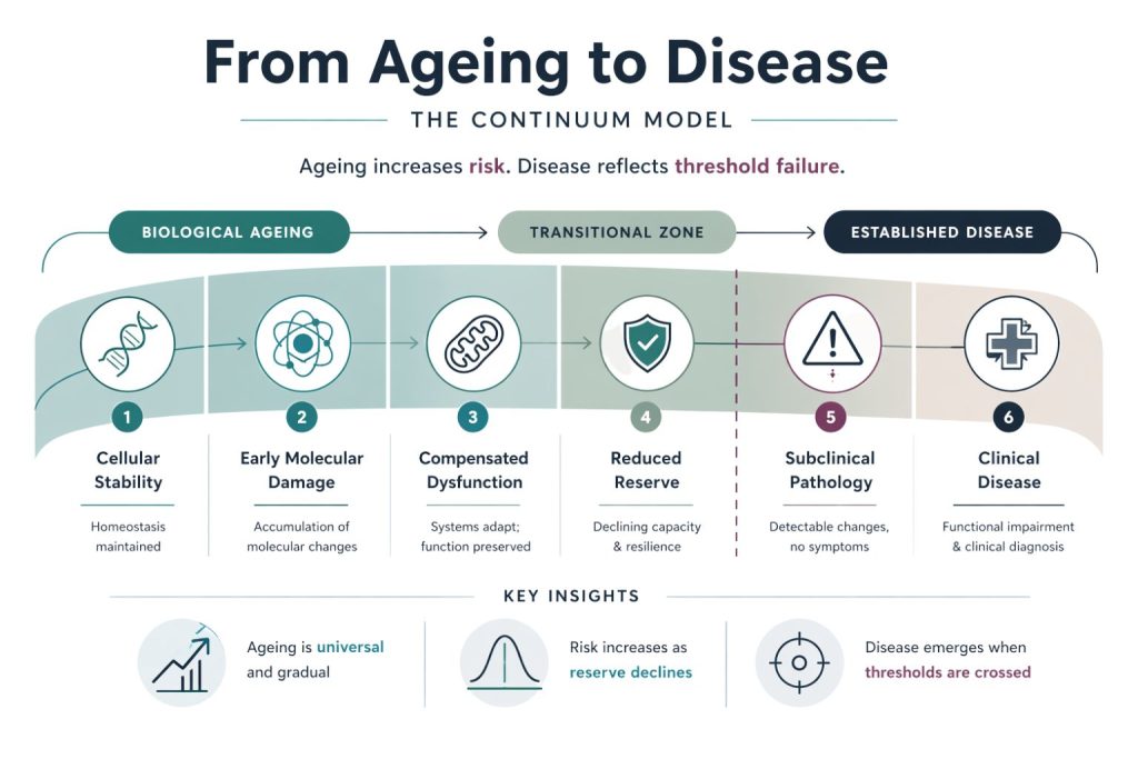 The Continuum Model “From Ageing to Disease